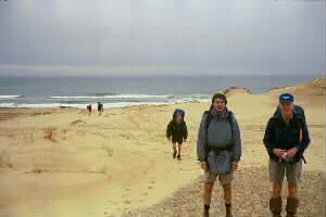 Image of hokiangadunestasmanseaq.jpg