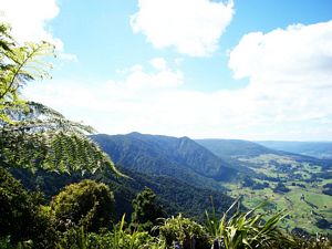 Image of hokiangafeb07g.jpg