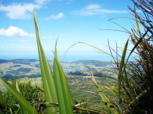 Image of hokiangafeb07h.jpg