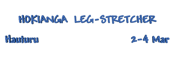 Image of hokiangalegstretcher07.gif