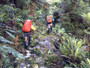 Image of hollyfordjan15ianc.jpg