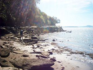 Image of howick04coastbeyondhowickbeach.jpg