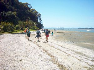 Image of howick04coastpastshellypark.jpg