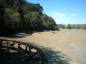 Image of howick04edgeofcreek.jpg