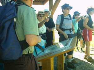 Image of howick04lookout.jpg