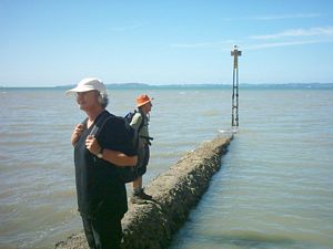 Image of howick04paulandseagull.jpg