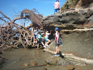 Image of howick04royal3.jpg