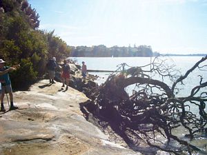 Image of howick04royalcoast.jpg