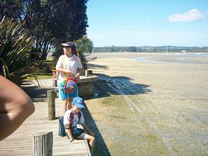 Image of howick04shellypark.jpg