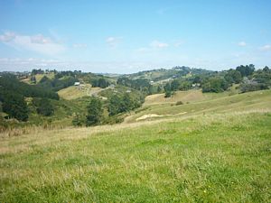Image of howick04whitfordvalleyfromtrig.jpg