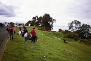 Image of howickafternoonteaq.jpg