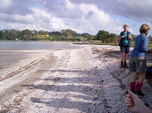 Image of howickapr06uafternoontea.jpg