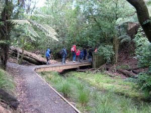 Image of howickaug10ddtrack.jpg