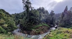 Image of huiajul23b.jpg