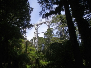 Image of humpridgejan15peterosbpercyburn viaduct.jpg