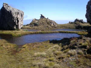 Image of humpridgejan15peterosbtorsandtarns.jpg