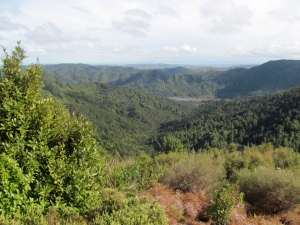 Image of hunuaaug12img_3197.jpg