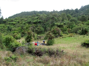 Image of hunuaaug12img_3204.jpg