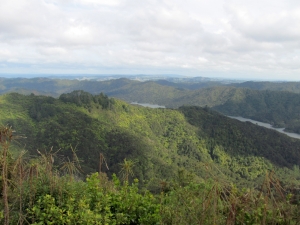 Image of hunuaaug12img_3211.jpg