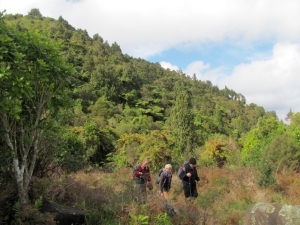 Image of hunuaaug12img_3216.jpg