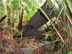 Image of hunuaaug12img_3218.jpg