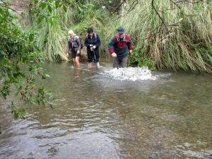 Image of hunuaaug12img_3223.jpg