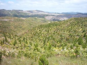 Image of hunuadec04orumsaftertrigview.jpg