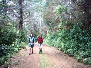 Image of hunuadec04orumstrack.jpg