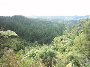 Image of hunuadec04orumstrackvieweast.jpg