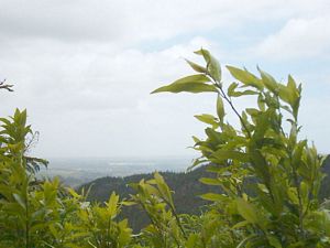 Image of hunuadec04orumstrackviewwest.jpg