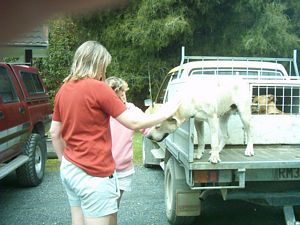 Image of hunuadec04pettingdog.jpg