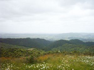 Image of hunuadec04trigclevedon.jpg