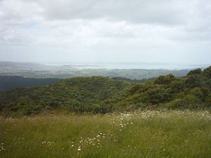 Image of hunuadec04trigduder.jpg