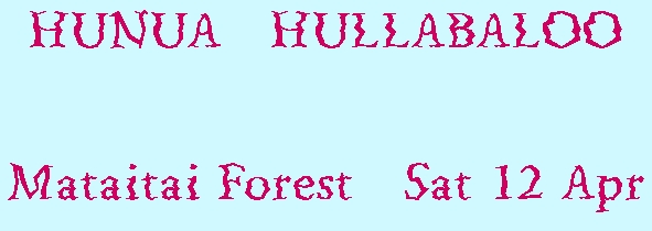 Image of hunuahullabaloo.jpg