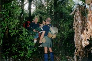 Image of hunuajun022wairoavalleytrack.jpg