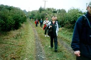 Image of hunuajun02repeaterroad.jpg