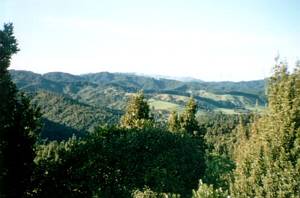 Image of hunuajun02viewinwards.jpg