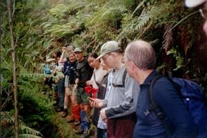 Image of hunuajun02wairoavalleytrack2.jpg