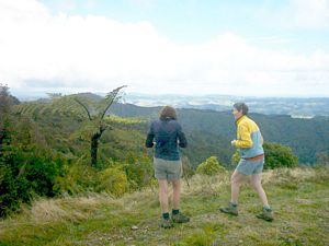 Image of hunuamay04mangatangitrigtrackview2.jpg