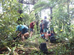 Image of hunuamay04pukapukatrack.jpg