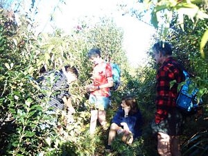 Image of hunuamay04pukapukatrack2.jpg