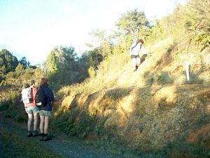 Image of hunuamay04pukapukatrackfinish.jpg