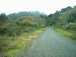 Image of hunuamay04road.jpg