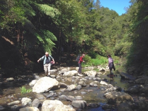 Image of hunuaoct14b.jpg