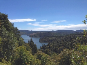 Image of hunuaoct14e.jpg