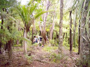 Image of hunuarangesmar06aptrack.jpg