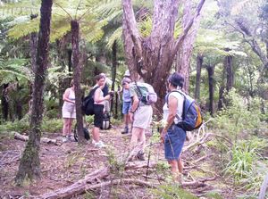 Image of hunuarangesmar06artrack.jpg