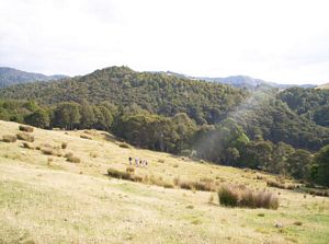 Image of hunuarangesmar06aypaddocks.jpg