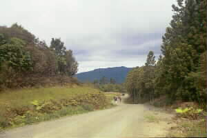 Image of hunuasplowsroadq.jpg