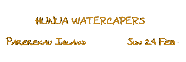 Image of hunuawatercapers08.gif